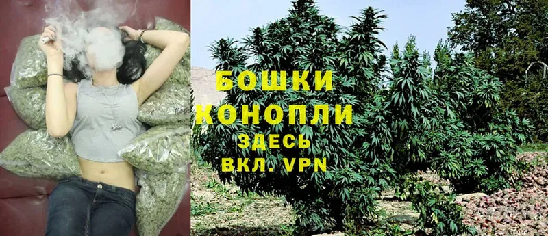 Бошки Шишки SATIVA & INDICA  хочу наркоту  Катав-Ивановск 